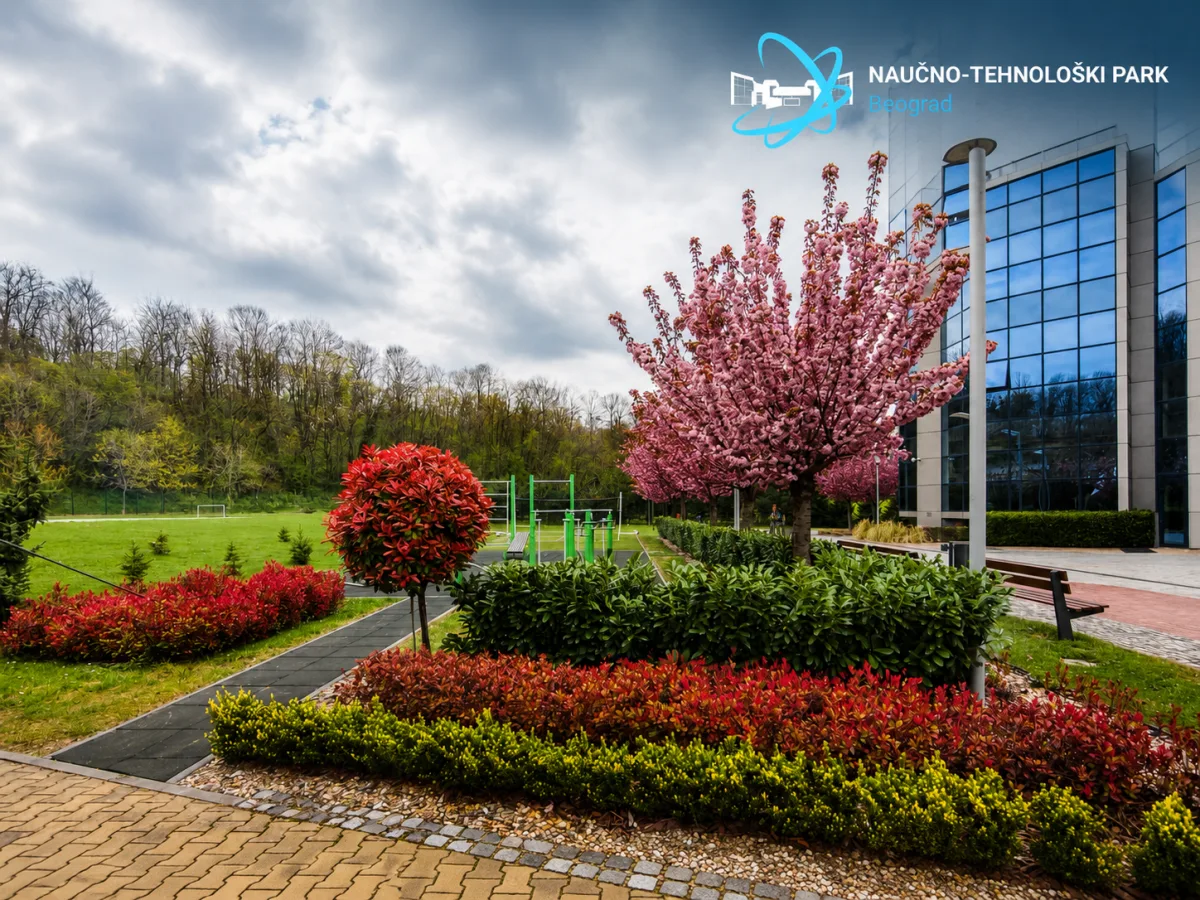 Greened outdoor area of the Science Technology Park Belgrade with a flowering tree
