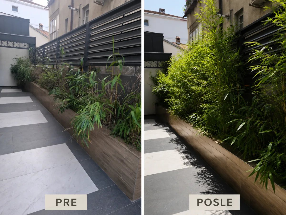 Landscaping a private terrace with bamboo in Asian style, before and after