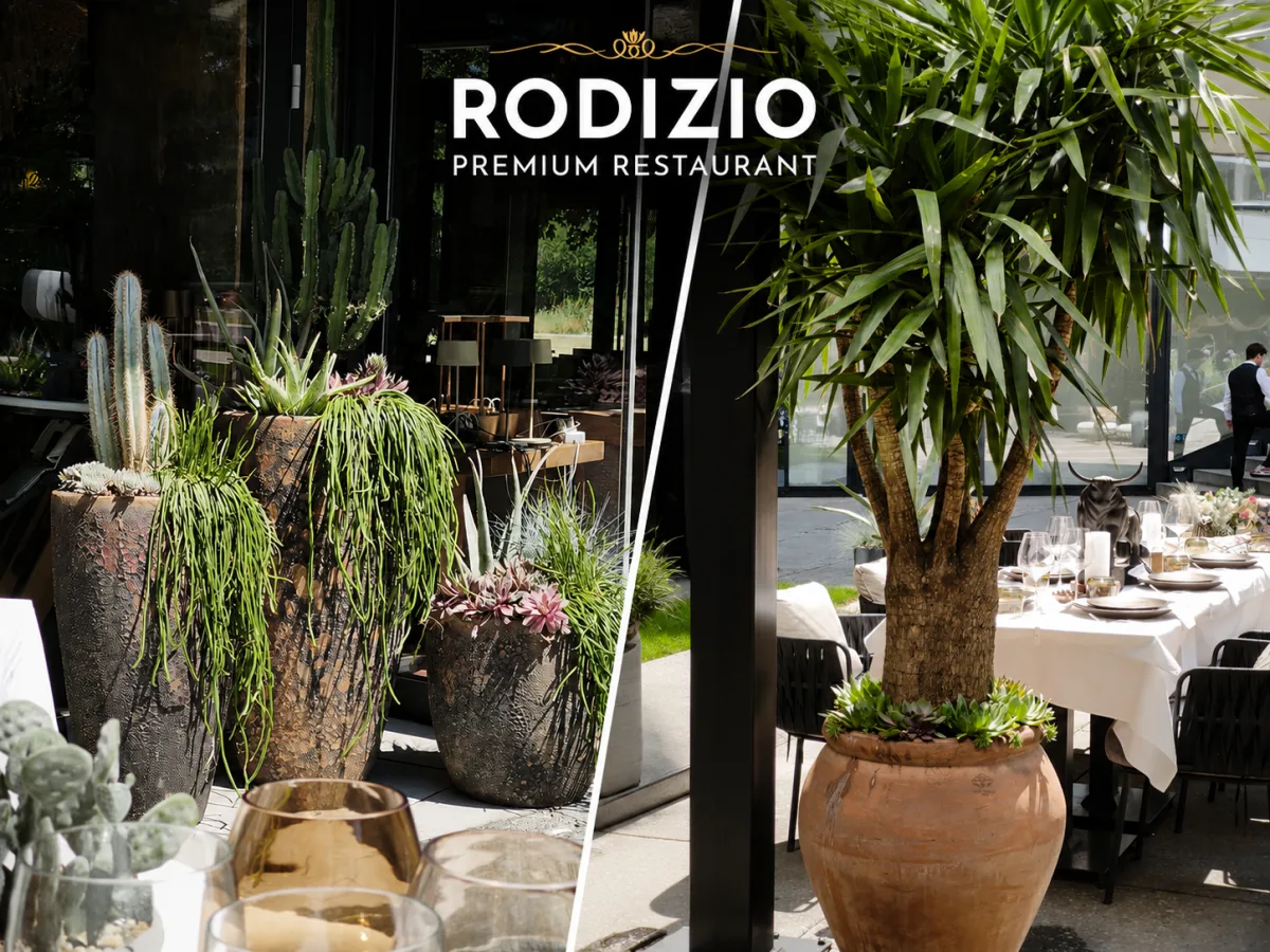 Landscaping the garden of Rodizio restaurant