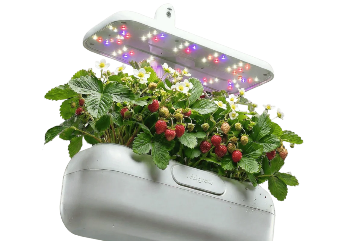 Urbi smart garden with plants