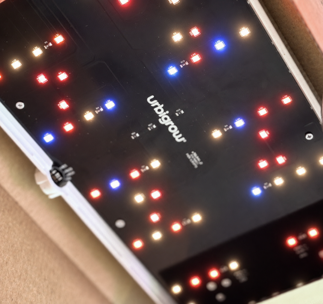 Sunlight, on a switch