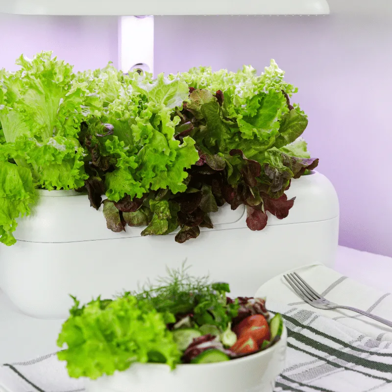 Urbi Gardening Station