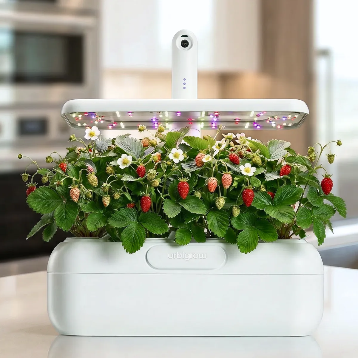 Urbi Gardening Station