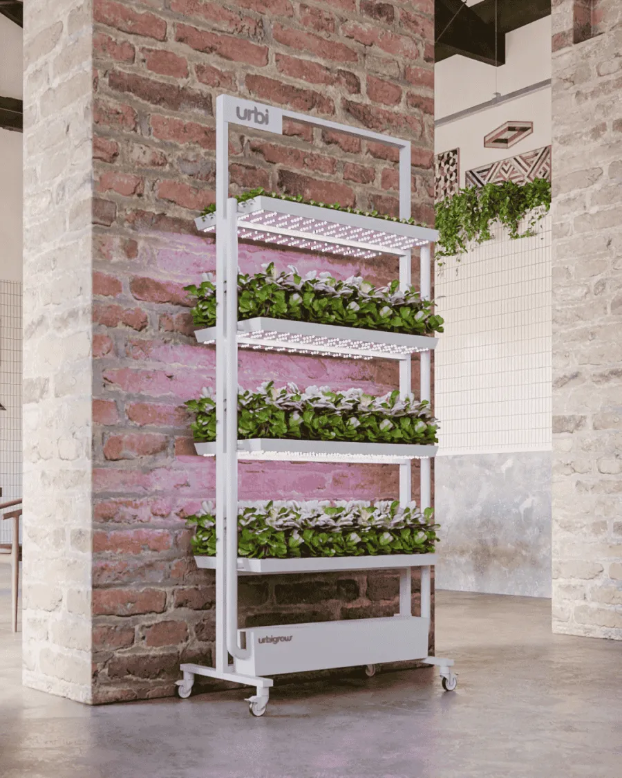 Plants growing on the UrbiGrow Pro shelf