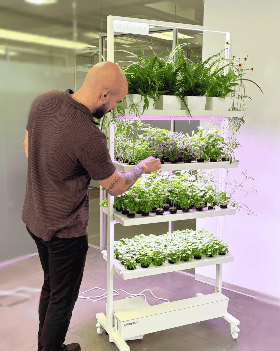 Fresh herbs from the UrbiGrow Pro shelf