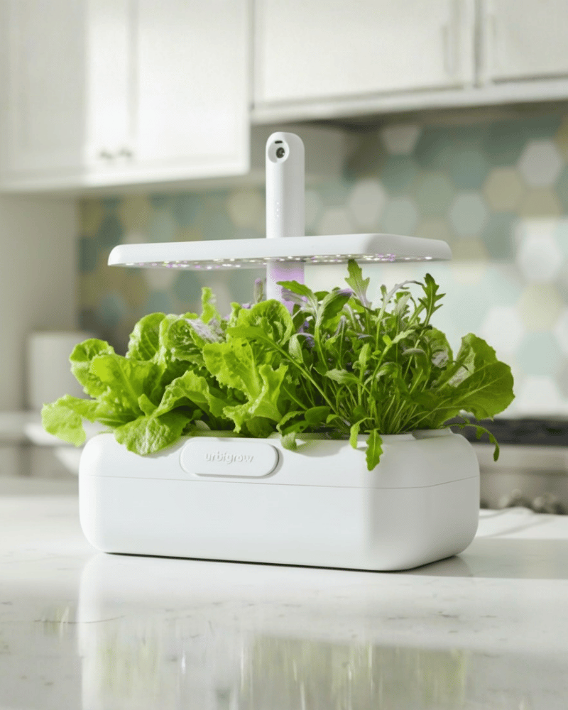 Urbi Kickstarter campaign