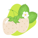 Yellow Wonder Strawberry