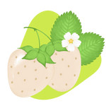 Yellow Wonder Strawberry