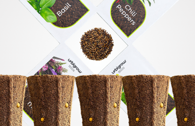 8 supstrata + semena jagoda