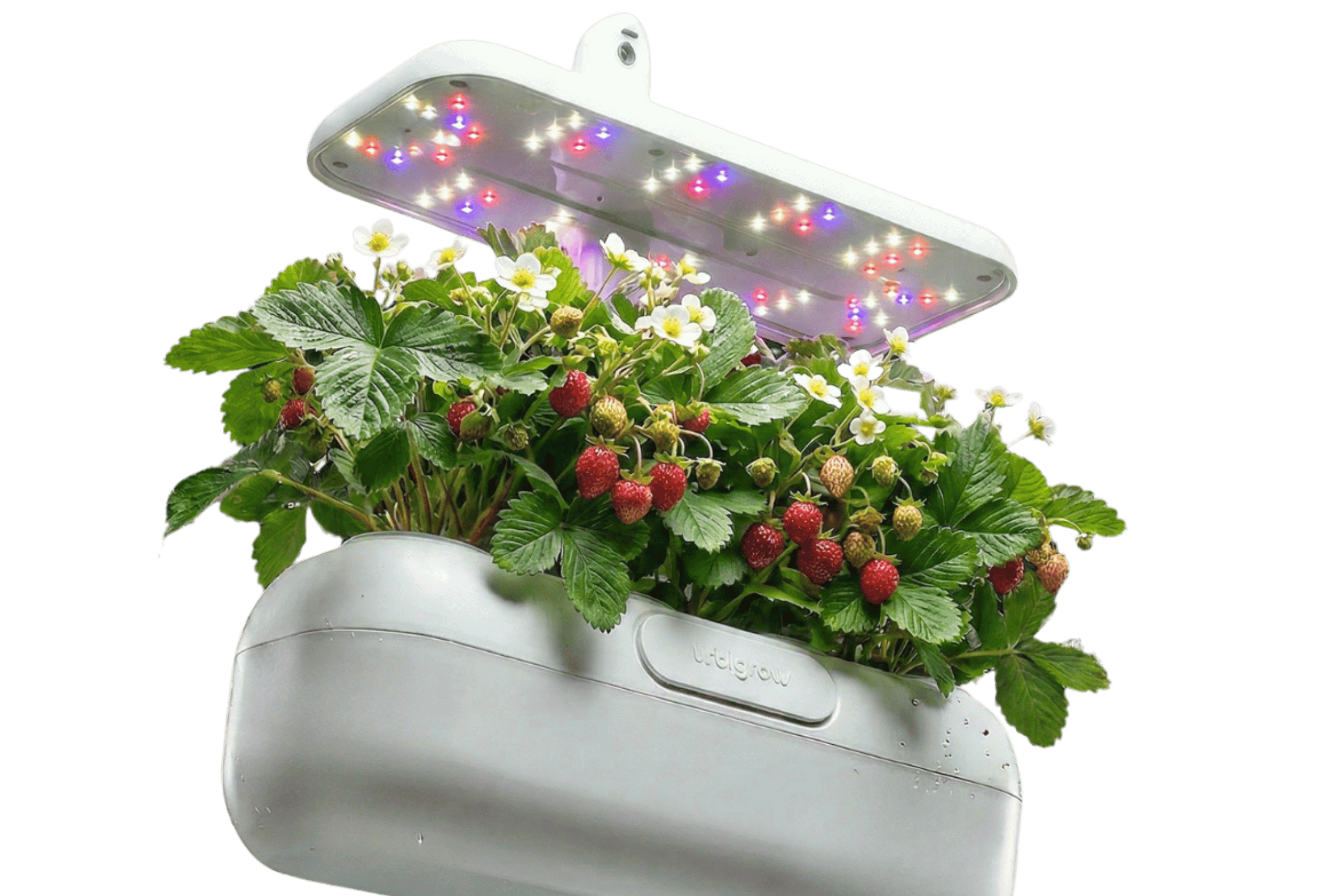 Urbi smart garden