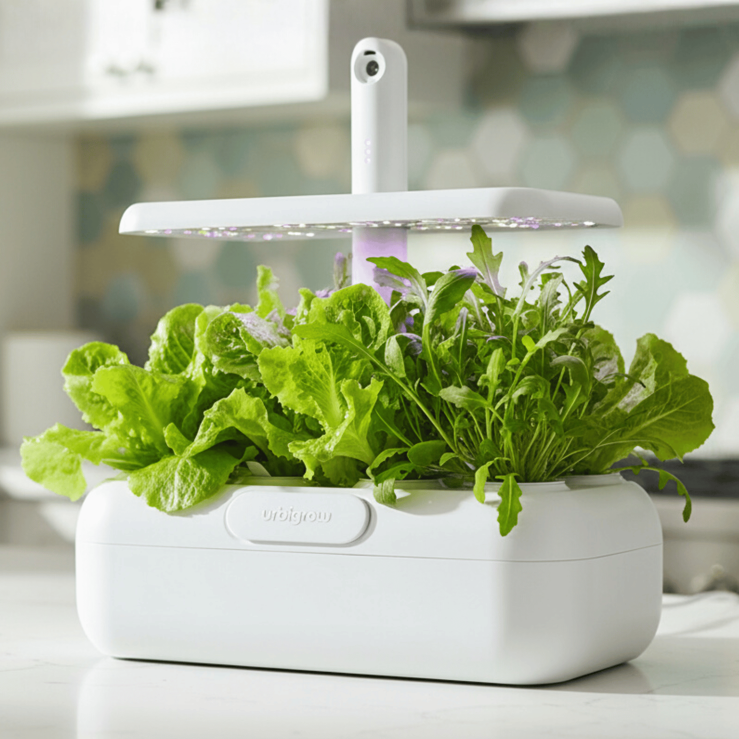 Urbi Gardening Station